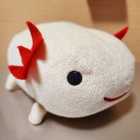 うーぱす (@pyoko5frogs_88) 's Twitter Profile