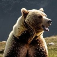 Paralełke (@tft_paralaks) 's Twitter Profile Photo Paralełke (@tft_paralaks) 's Twitter Profile Photo