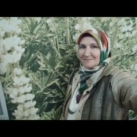 Ayşe (@ayseezr) 's Twitter Profile