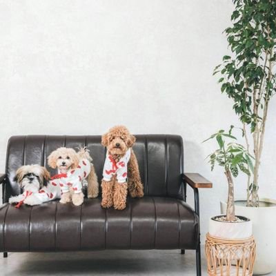 mugikun_tensai's profile picture. モデル体型の兄貴とあざとかわいい長女とまんまるボディの次男と優しすぎるパパとポンコツ過ぎるママで騒がしい毎日を送ってます！  YouTube始めました！