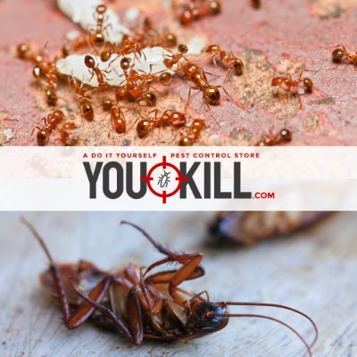 DSpartanbu66026's profile picture. Do It Yourself Pest Control is a Pest Control Store in Spartanburg, SC 29303