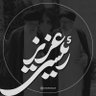 Dr_Roohollah_Zv's profile picture. همسر/ پدر ابوالفضل و علی اکبر/ دانشجو دکتری علوم سیاسی گرایش اندیشه‌های سیاسی/ علاقه مند به سینما، تاریخ و سیاست