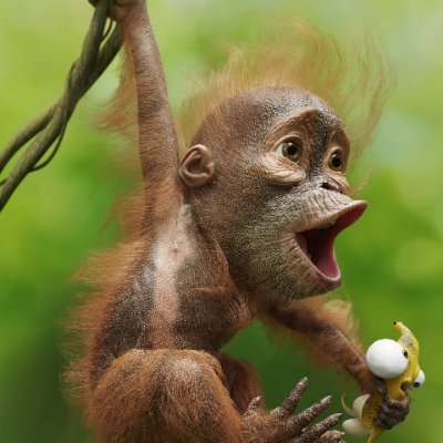 Virtual Production LookDev developer. indie game developer.