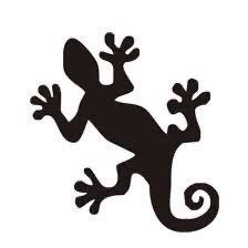 m_orestes319352's profile picture. 