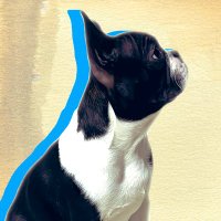 Masoruri (@mell0wflow) 's Twitter Profile