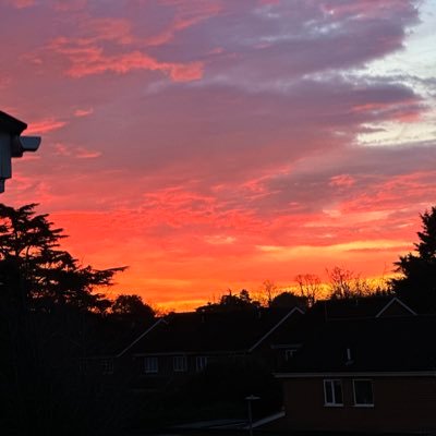 darkstar3325's profile picture. 