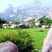 ابوصالح (@x7xcdt3v9dgvjhz) Twitter profile photo