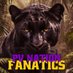 PVNation Fanatics 🐾 (@pvnationfans) Twitter profile photo PVNation Fanatics 🐾 (@pvnationfans) Twitter profile photo