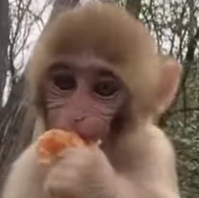 hola