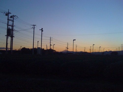 komanosatoni30y's profile picture. 