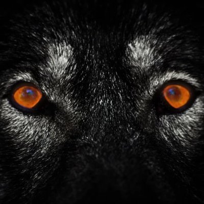 YouTube https://t.co/4EV8eAoOK3…
Twitch- https://t.co/Ng3fihQZwe
LONELY GAMER