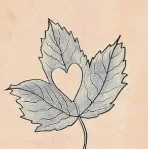 roba684359's profile picture. samyr