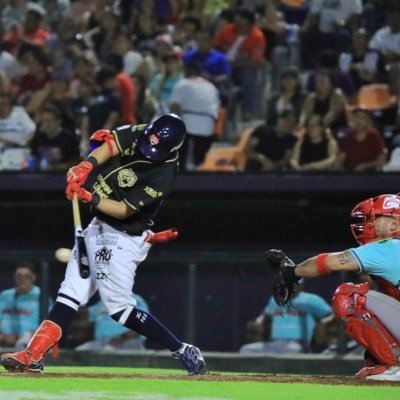 Professional baseball player/ IMG Academy🇺🇸#8→BCリーグ茨城🇯🇵#22→横浜DeNAベイスターズ#105 🇯🇵→ Tigres de Quintana Roo #39🇲🇽→