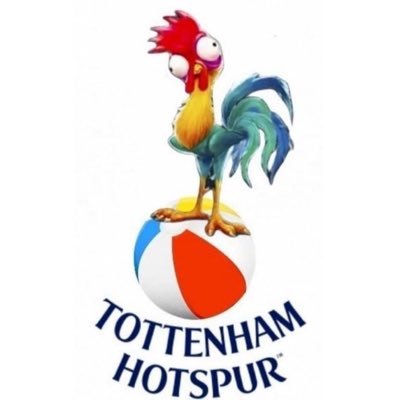 Dolphins, Tottenham, Nationals, and Gamecocks