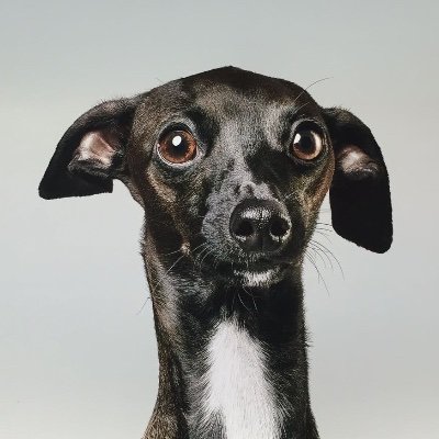 NMalcowich's profile picture. European.
Defender of common sense. 
The truth will set you free. 
Opinions are my own.
Slava Ukraini! 🇺🇦