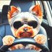 Janusz Polski®️ (@januszpolsky) Twitter profile photo Janusz Polski®️ (@januszpolsky) Twitter profile photo