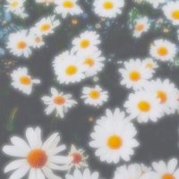 h(取引) (@torihikihttp) 's Twitter Profile