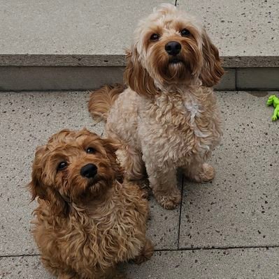 gemmalouise1770's profile picture. 