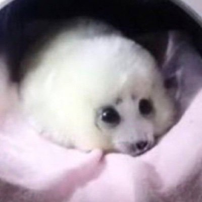 SenapiTink's profile picture. :3 be happi eat donut lvl20 🌸⭐️