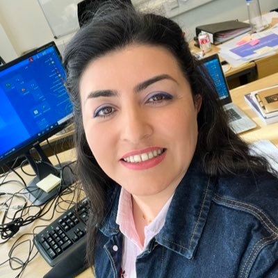 Lecturer/researcher in Accounting; Senior Fellow of @HEAcademy; Tweets in English and Persian. My views are my own! RT≠Endorsement
