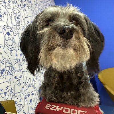 VillateMar65320's profile picture. 