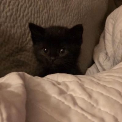 Milla_11_'s profile picture. Ur a loser but so am I so it’s ok