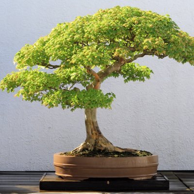 Black_Jasmin2's profile picture. 