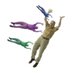 Bingus.sol (@oleboybingus) Twitter profile photo Bingus.sol (@oleboybingus) Twitter profile photo