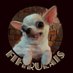 fifirulais (@fifirulais3030) Twitter profile photo fifirulais (@fifirulais3030) Twitter profile photo