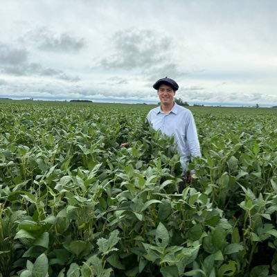 lachosc's profile picture. 🇦🇷