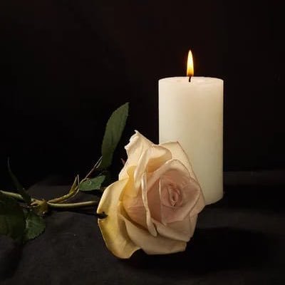 mevl1955's profile picture. 