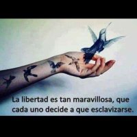 Colibrí (@colibr925418) 's Twitter Profile Photo Colibrí (@colibr925418) 's Twitter Profile Photo