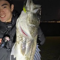 Bo @シーバス🔰 (@seabassbassb) 's Twitter Profile