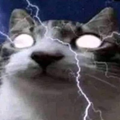 NekitoOw0 Profile Picture