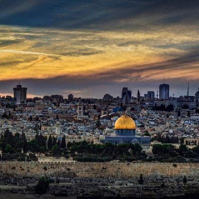 SAM_333_111's profile picture. 