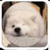 俺也一样 (@yowx5qmyny4ai78) Twitter profile photo 俺也一样 (@yowx5qmyny4ai78) Twitter profile photo