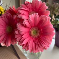 Cheryl Leitch (@cdleitch) 's Twitter Profile