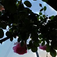 雲 (@________mcmc) 's Twitter Profile
