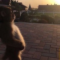 teresa (@ttinthacut) 's Twitter Profile
