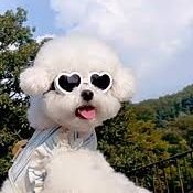 shibuibushi_uk's profile picture. Jozo / 自己研鑽