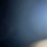 domino 3 (@melbverff) 's Twitter Profile