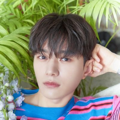 wochaichoriiiii's profile picture. she/her | 🐯📐 '27 | #INFINITE #인피니트 #HOYA