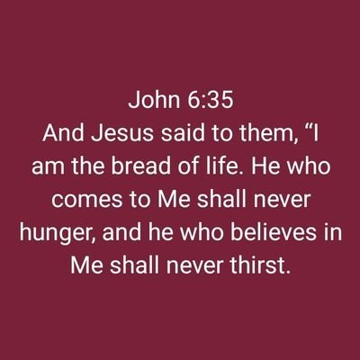 JiulandE's profile picture. 