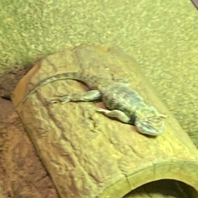 ecology1706's profile picture. 