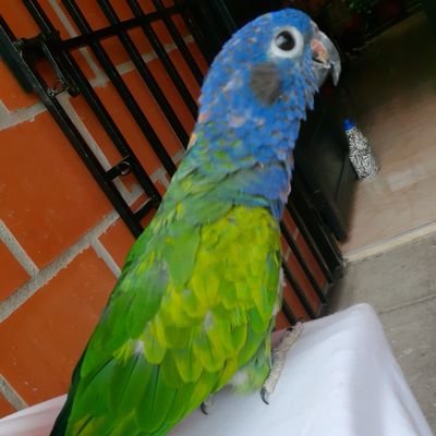 Bajo perfil es lo que recomienda la prudencia en nuestro convulsionado país.