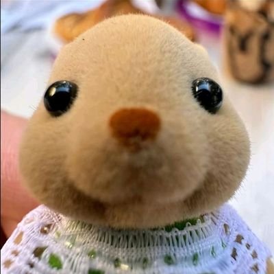 Dai 🌼さんのプロフィール画像
