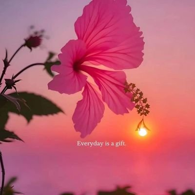 Andii90442882's profile picture. 🥺❤️