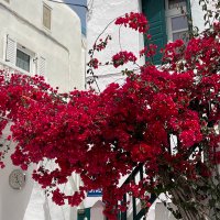 Elodia Almirón-Prujel (@elodiaalmiron) 's Twitter Profile