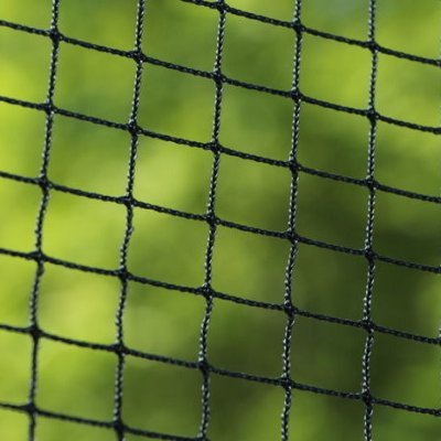 mxysports11846's profile picture. Professional sports net manufacturer~