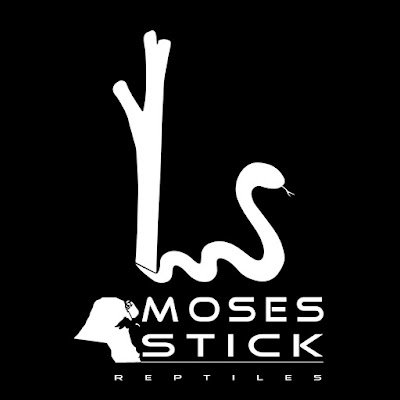 Moses Stick Reptiles عصى موسى للزواحف Profile